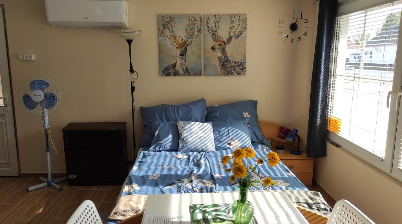 Ferienwohnung Fenyves-Lak Szalkszentmárton Exterior foto